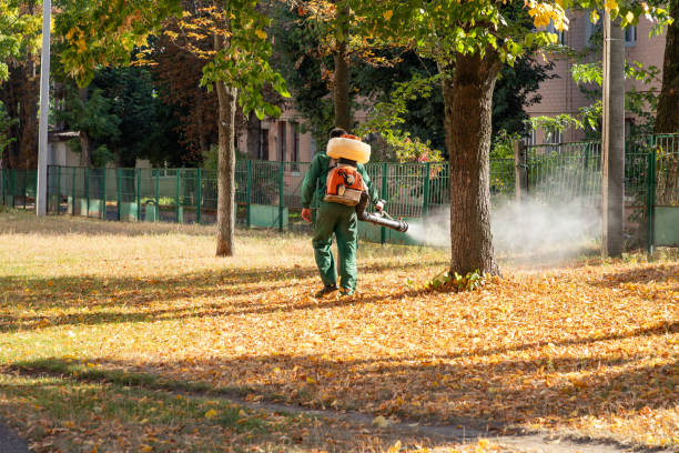 Wildlife Control Services in Sylvania, OH