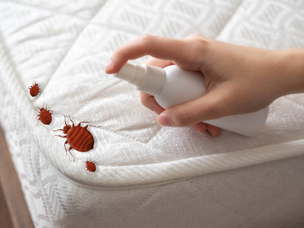 Best Bed Bug Extermination  in Sylvania, OH